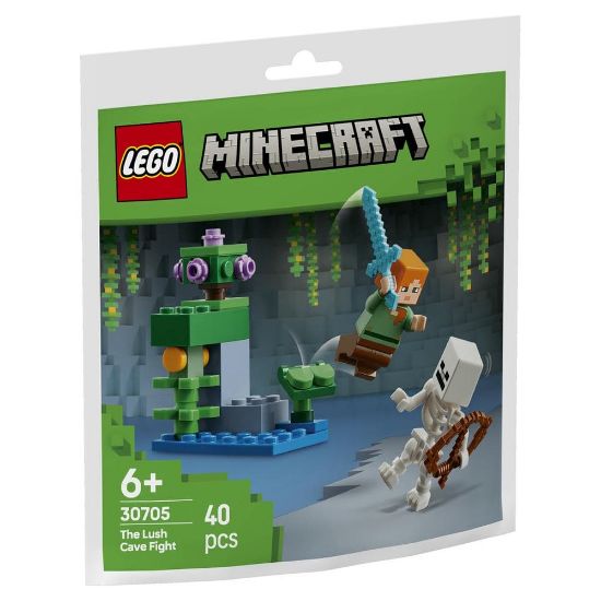 Obrázek LEGO Minecraft Boj v jeskyni