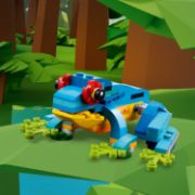 Obrázek Exotický papoušek