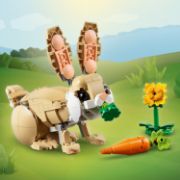 Obrázek Roztomilý králíček