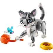 Obrázek Hravá kočka