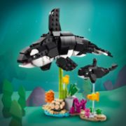 Obrázek Divoká zvířata: Pandí rodinka