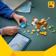 Obrázek Roztomilá zvířata: Roztomilé štěňátko