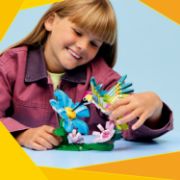 Obrázek Divoká zvířata: Barevný kolibřík