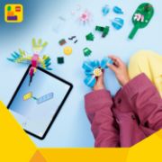 Obrázek Divoká zvířata: Barevný kolibřík