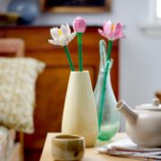 Obrázek Lotosové květy