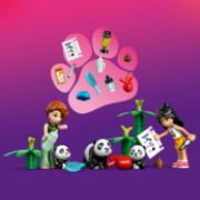 Obrázek Péče o zvířátka v pandí záchranné stanici