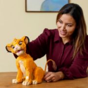 Obrázek Mladý Simba ze Lvího krále  