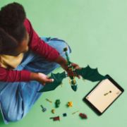 Obrázek Lloydův zelený lesní drak