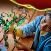 Obrázek Drak života