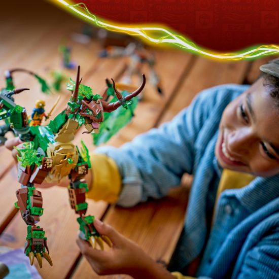 Obrázek Drak života