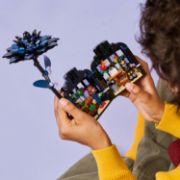 Obrázek Wednesday Černá jiřina