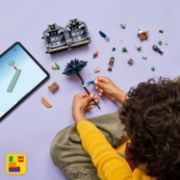 Obrázek Wednesday Černá jiřina