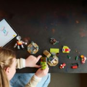 Obrázek Knuckles a chrám Master Emerald