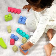 Obrázek Mega Bloks FB BIG BUILDING BAG GIRLS (60)