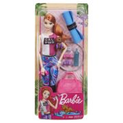 Obrázek Barbie WELLNESS panenka asst 