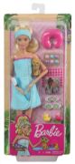 Obrázek Barbie WELLNESS panenka asst 