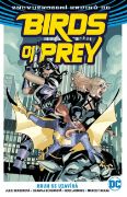 Obrázek Birds of Prey 3: Kruh se uzavírá
