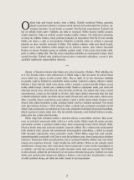 Obrázek Žoldnéř 14: Poslední den