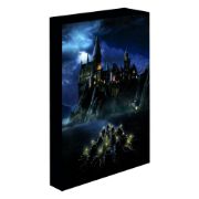 Obrázek Svítící obraz Harry Potter - Noční Bradavice