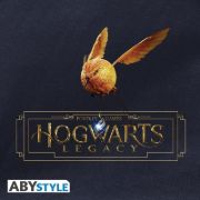 Obrázek Batoh Harry Potter: Hogwarts Legacy