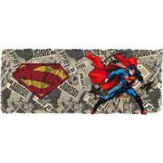 Obrázek Hrnek DC Comics - Superman & Logo