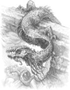 Obrázek The One Ring RPG: Tales From the Lone-lands