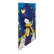 Obrázek Plakát 3D - Ježek Sonic