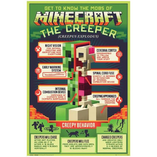 Obrázek Plakát Minecraft - Anatomie Creepera