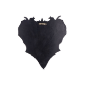 Obrázek Plaketa na stěnu Diablo IV - Lilith