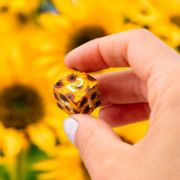 Obrázek Sada kostek: Full Art Dice Set - Sunflower