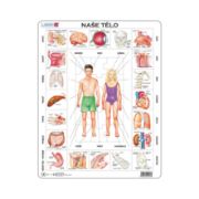 Obrázek NAŠE TĚLO 35 d. EDU Puzzle