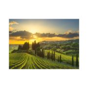 Obrázek Puzzle Vinice Maremma 500 xl dílků