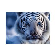 Obrázek Puzzle Bílý tygr 1000 dílků