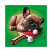 Obrázek Puzzle Psí sportovci 3x55 dílků