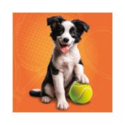 Obrázek Puzzle Psí sportovci 3x55 dílků