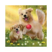 Obrázek Puzzle Rodinka 3x55 dílků