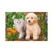 Obrázek Puzzle Pejsek a kočička na zahradě 2x48 dílků
