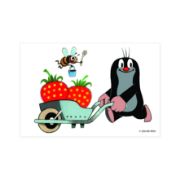 Obrázek Dřevěné licenční kostky Krtek - 6 ks