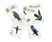 Obrázek Na křídlech: Klenoty Latinské Ameriky - 4. rozšíření