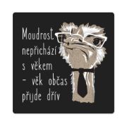Obrázek Pánské tričko - Moudrost nepřichází s věkem, vel. L