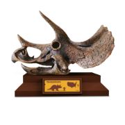 Obrázek Lovci lebek - Triceratops