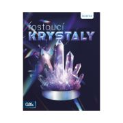 Obrázek Rostoucí krystaly
