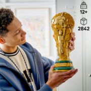 Obrázek Oficiální trofej Mistrovství světa ve fotbale