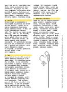 Obrázek Krypta, Bastard, Magie (zine 1-4)