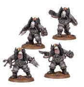Obrázek SOLAR AUXILIA: CHARONITE OGRYN SECTION