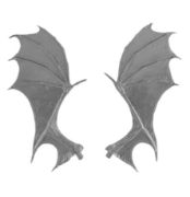 Obrázek THE BALROG