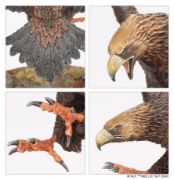 Obrázek M-E SBG: GREAT EAGLES