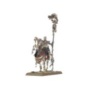 Obrázek TOMB KINGS OF KHEMRI: LICHE PRIESTS