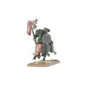 Obrázek ORC & GOBLIN TRIBES: ORC BOAR BOYZ MOB