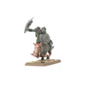 Obrázek ORC & GOBLIN TRIBES: ORC BOAR BOYZ MOB